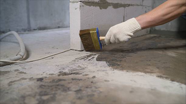 Top rated local Wet Basement Repair specialists in Circle Pines, MN